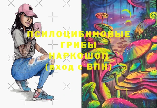 альфа пвп Куйбышев