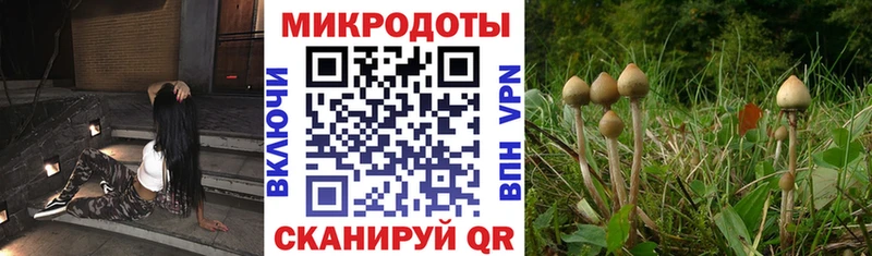 Галлюциногенные грибы ЛСД  Ивантеевка 